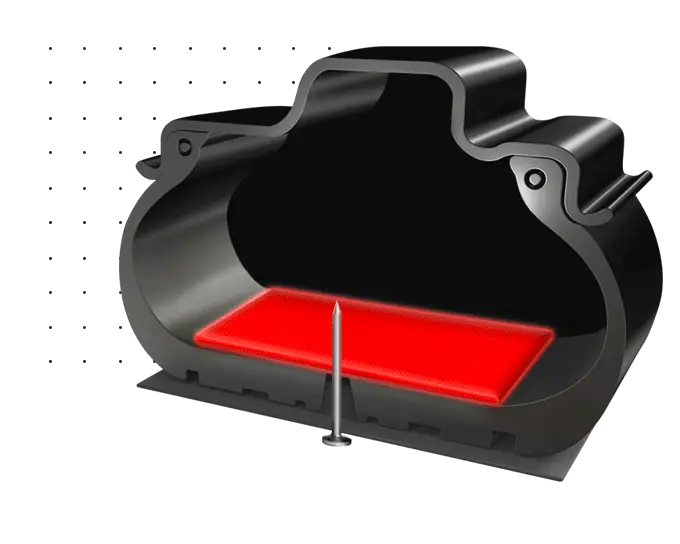 seal-inside-4505524066566